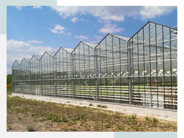 Строительство теплиц в Чернушка от 609 руб. за м²